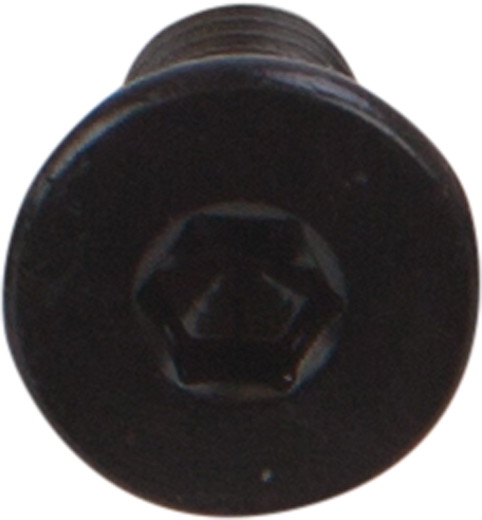 OpenBuilds Schraube mit niedrigem Kopf M5 10mm