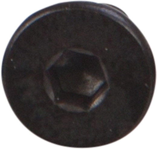 OpenBuilds Schraube mit niedrigem Kopf M5 8mm